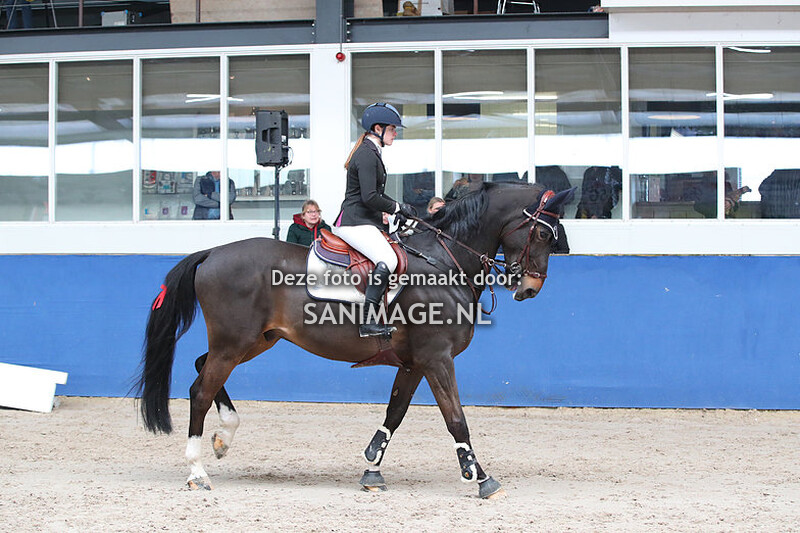 Anemone Super Spring Series De Meern 05-03-2022 1.20m