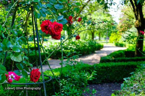 Enschede - Volkspark