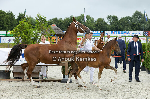 29 - Vancouver ( Olympus HS x Saffraan ) 