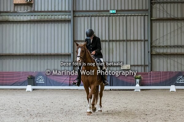 17-11-2024 Dressuur Ochtend Luttenberg