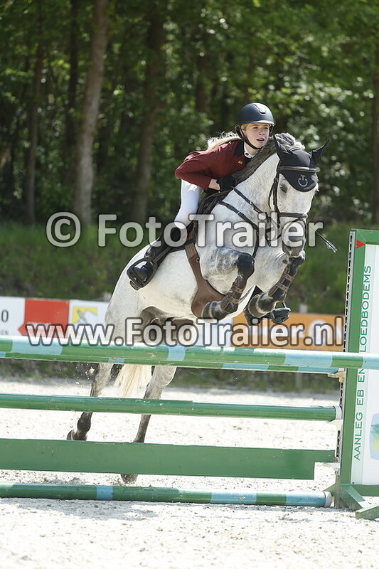 CDE pony 90cm en 1m