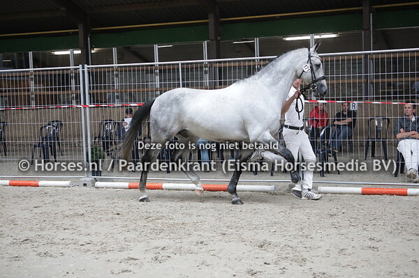 171 Halona-Piers Totilas x valuta v. Uniform x variant x Manza Buitenzorg)