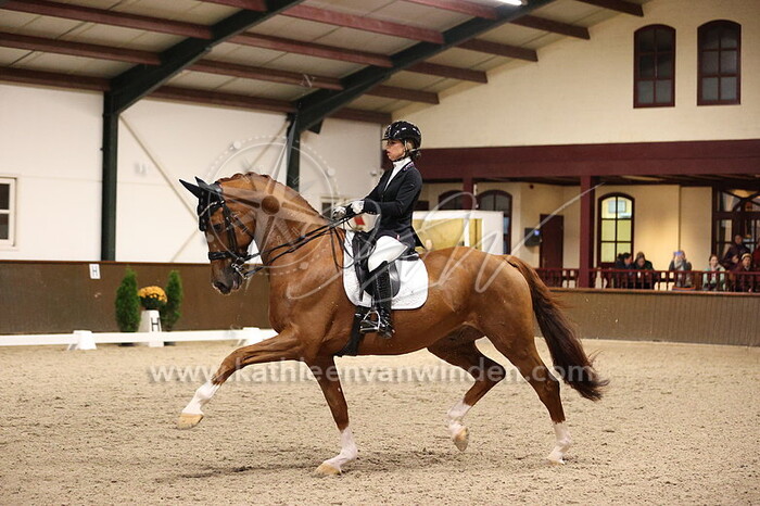 Senna van de Gevel - Hassan v.d. Baltushoeve SD