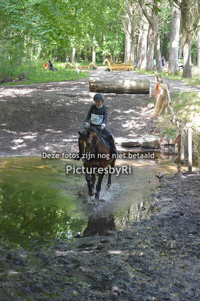 cross&springen bb dijkgatbos