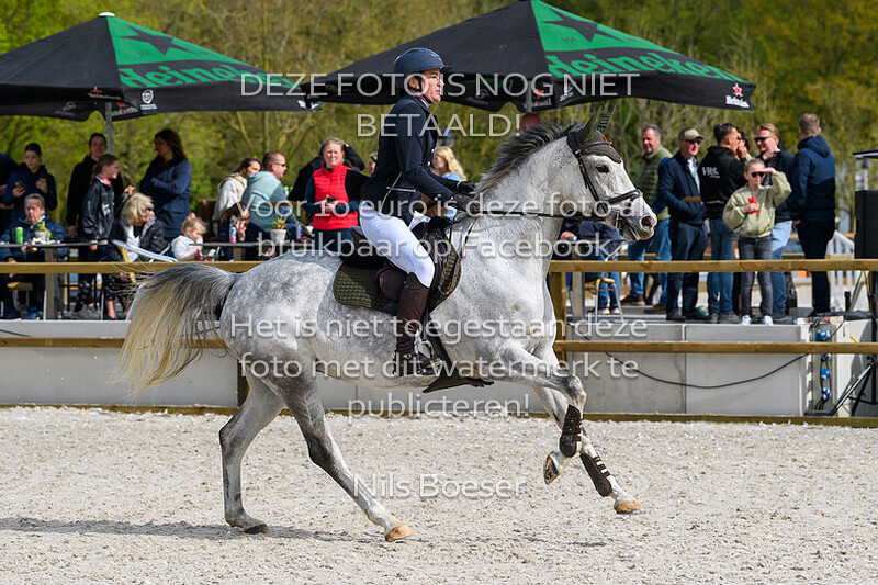 6 Paarden Klasse 100cm
