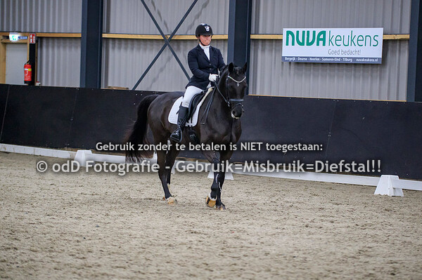 Dressuur PSV Nederweert Paarden Z1 Z2 ZZL 12-12-21