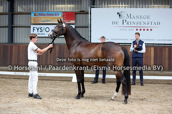 2 Surprise TC (Desperado x Roseanne v. Gouverneur)