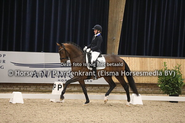 Blue Hors Monte Carlo TC