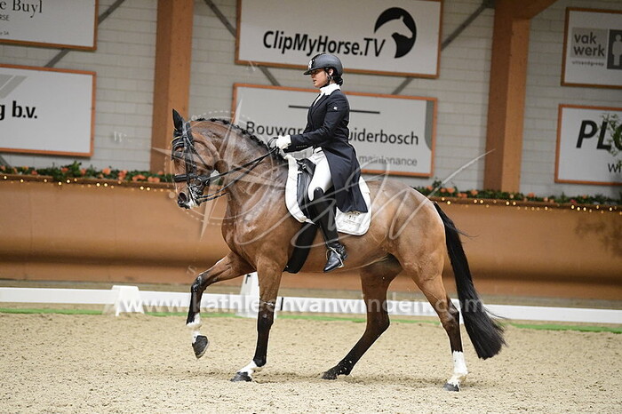 Divyakriti Singh - Donna Wetter 3