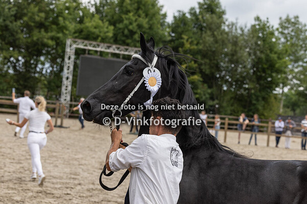 94. Teske fan 't Hoolven