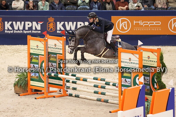 Romantico (v.Grandorado) Robin van Thillo