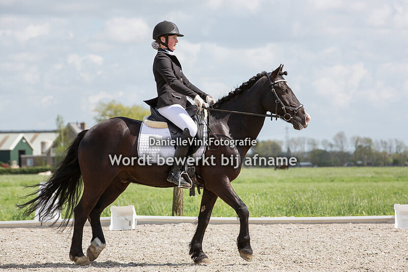 Lindsay van Muijden - Romeo