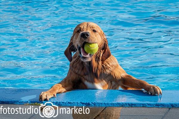 Doggyplons Markelo 2023