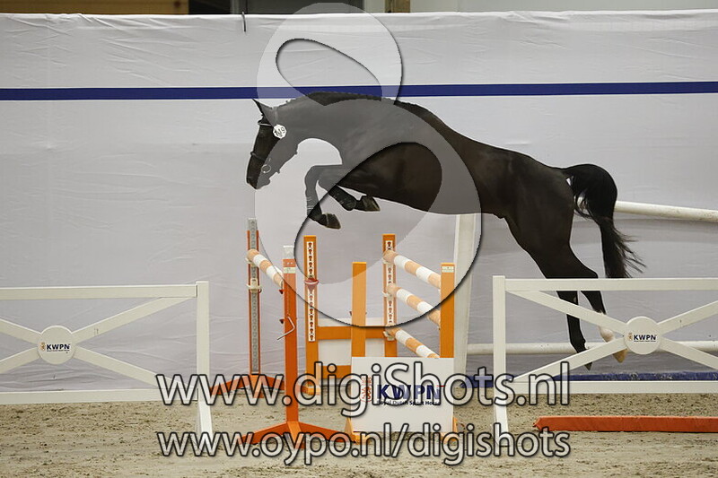 The One Z v. Taran de la Pomme