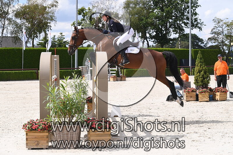 Kate van de suydersee