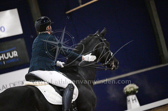 Janine van Oosterum - Blauwhoeve's Don Juan