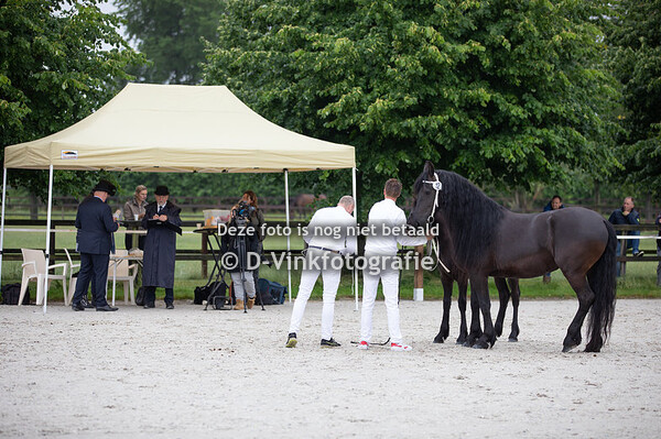 12. Rinske fan D'Oever