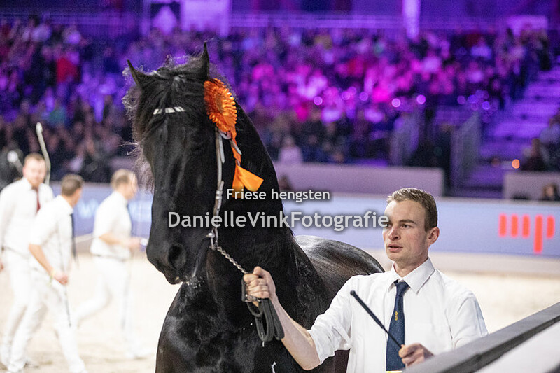 Hengstenkeuring 2024 Wardy 509