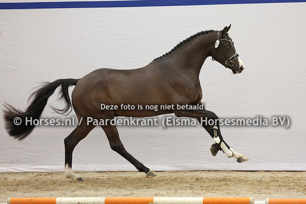 470 (Next Level x Governor)