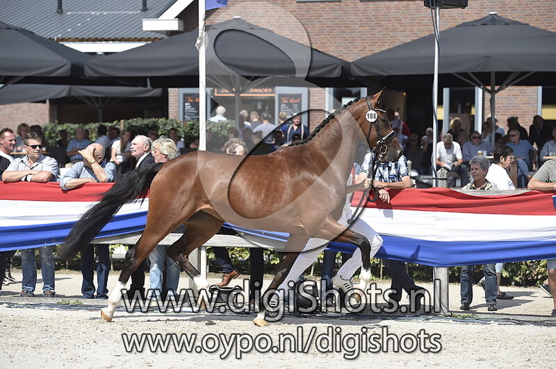 Kunanda v. Feel Good