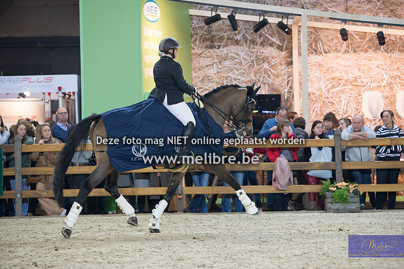Elite Cup - Finale dressuur Niveau 1 + 2 + 3