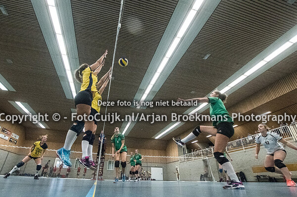 Havoc DS2  - Vocala DS2