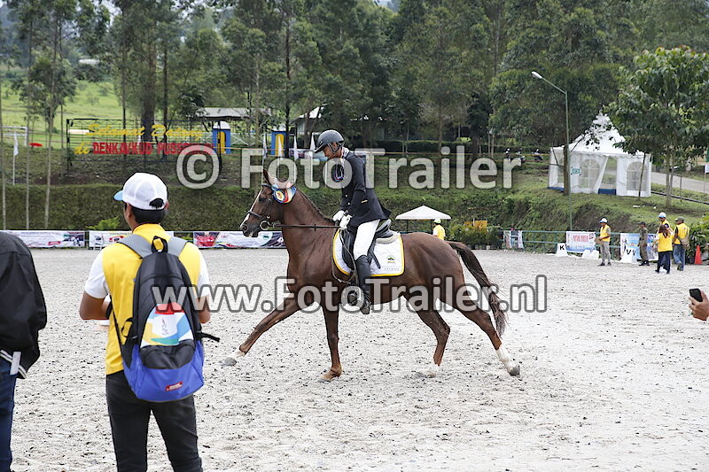 Ceremony Dressage