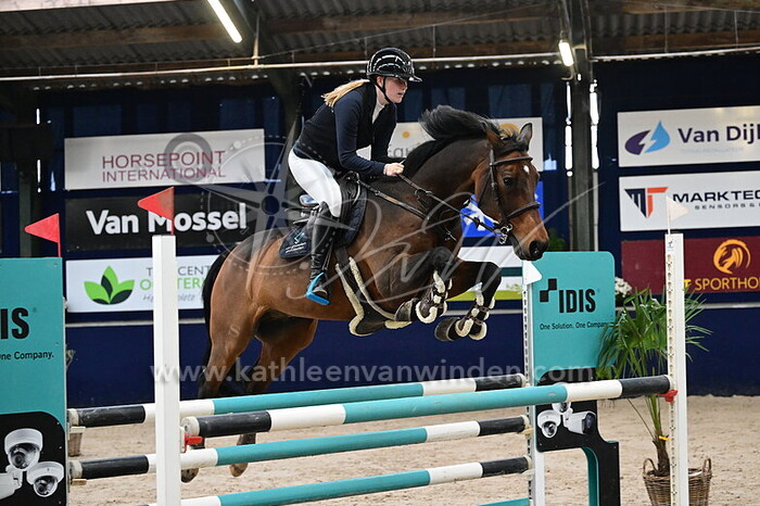 Nikki Weemaes - Ludwig Liberty