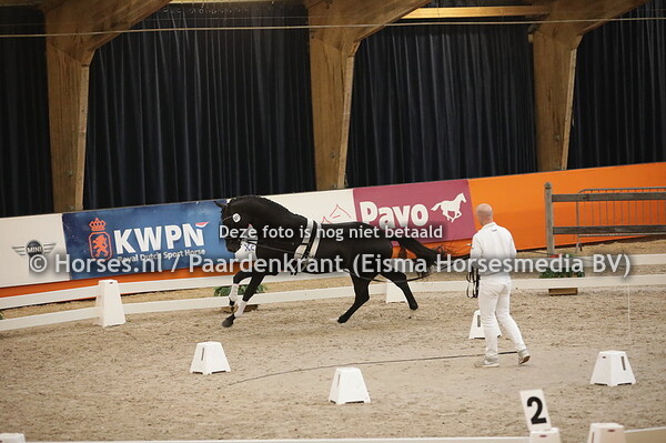 501 Indian Rock x Bretton Woods