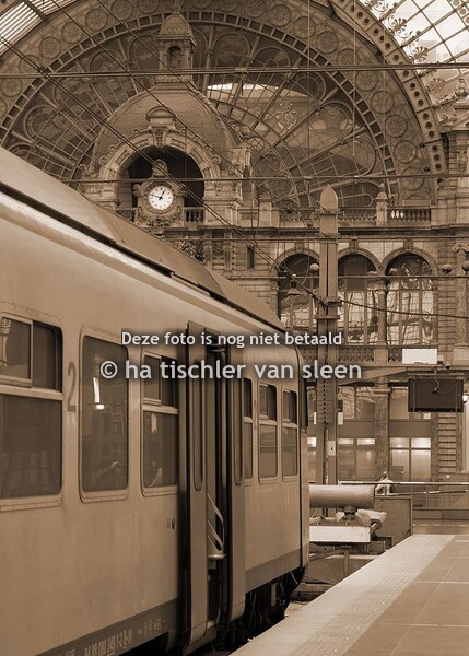 ANTWERPEN CENTRAAL STATION  BRUIN TINT