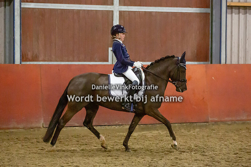 10. Klasse Z1 Z2 pony