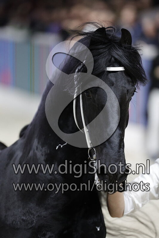 Matthys 504 v. Norbert 444