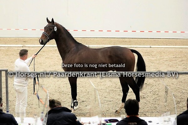 27-11-2020 1e bez KWPN dressuur