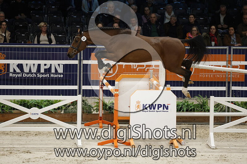 Victor Optimus v. Emerald Van 't Ruytershof - 062