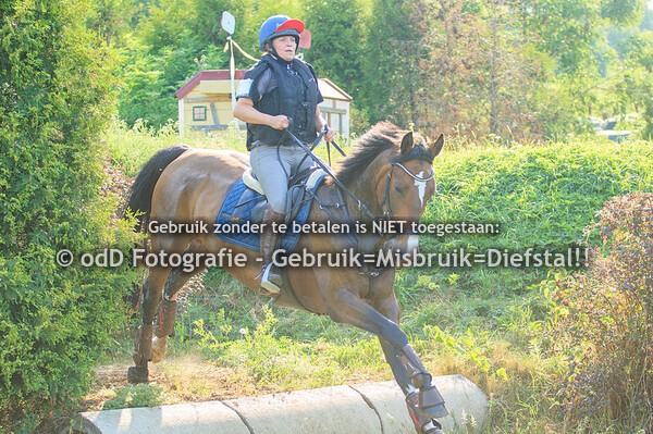 Training Margo Groep 3 17:30 uur 21-06-23