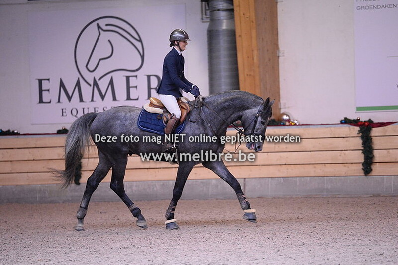 Nieuwjaarsjumping De Warre -VRIJ- Finale 4 jarige Paarden
