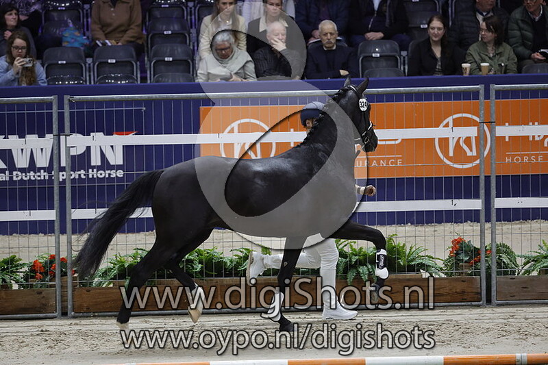 Pablo Geuzenhof v. Don Olymbrio - 324