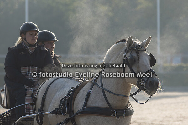 NK mennen Exloo 16-9-2023 - foto's in en om de ring