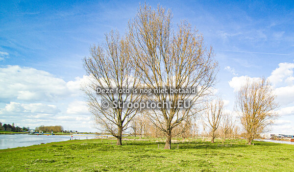Roermond van Bovenaf - Stadsweide