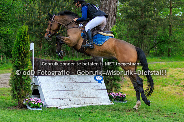 Grandorse Horse Trials Paard L en Pony M 05-05-24
