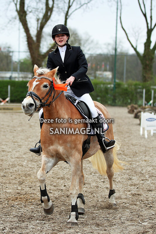 Haflinger Ver.DAH West 16-04-2023 springen