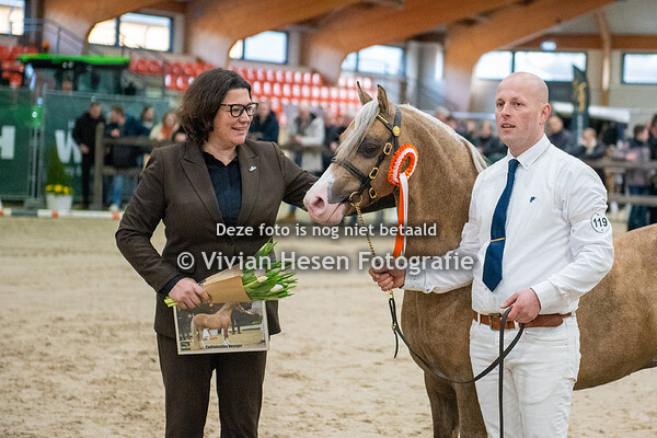 Stamboekhengsten Sectie B