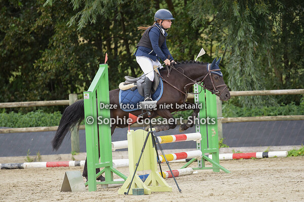 Ponies Clear Round 60