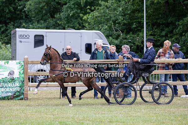 10. Rad Gala kampioenschap Hackney's Young riders