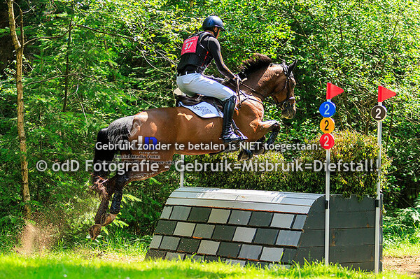 Maarsbergen Horse Trials 07-06-24
