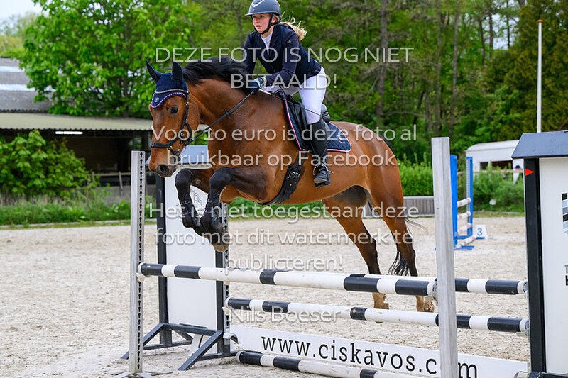 7 Klasse 90cm Paarden