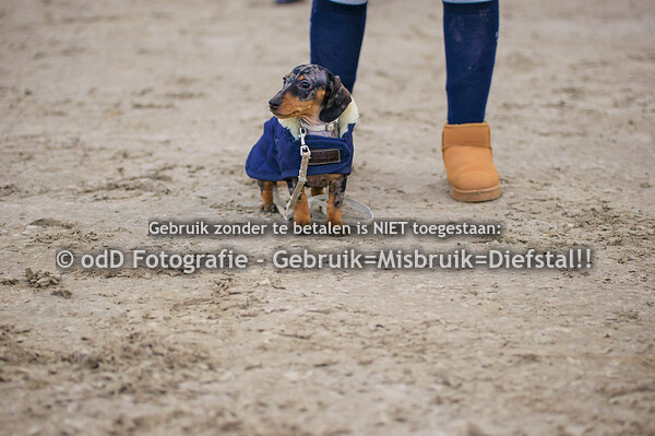 CH De Maasruiters Kessel 100cm 28-01-23