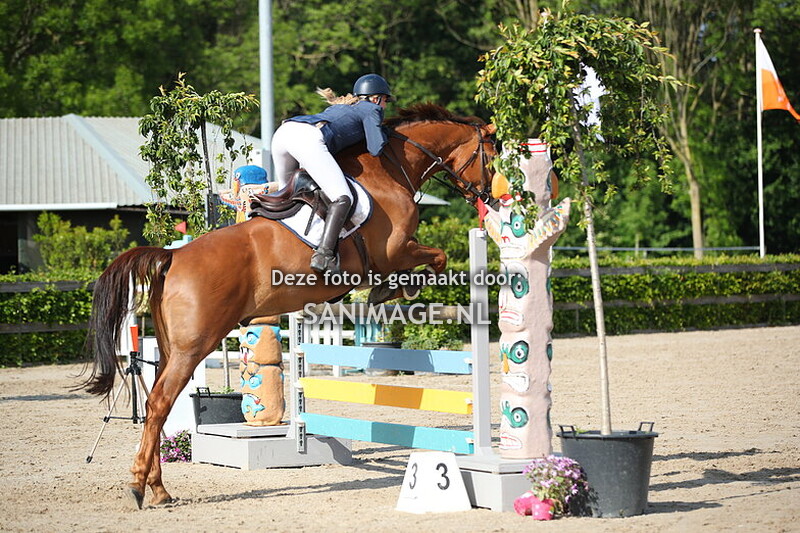 Zilfia's Hoeve 16-05-2025 Springen Paarden 120 cm