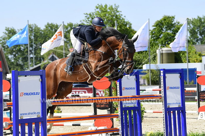 Mandy Grootegoed - Little Joe van het Indihof