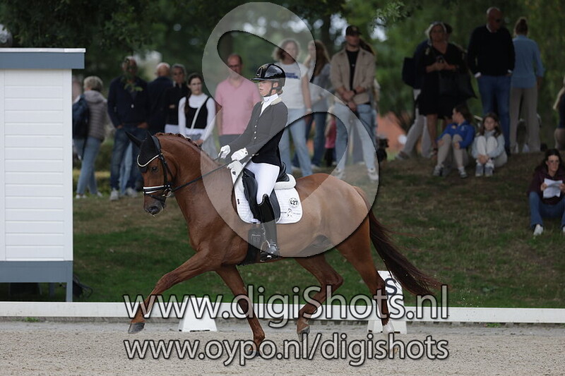 Ring 7 Klasse ZZ Licht